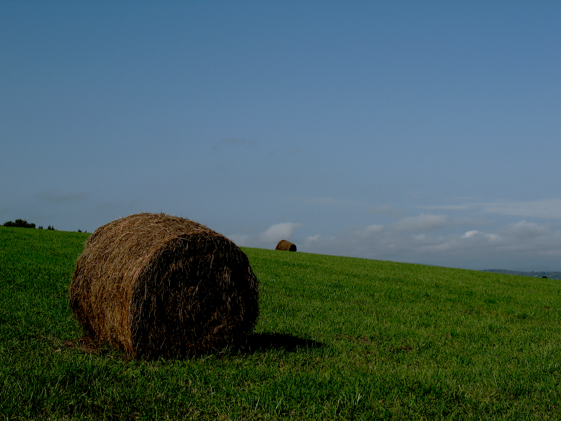 Hay Bay Color